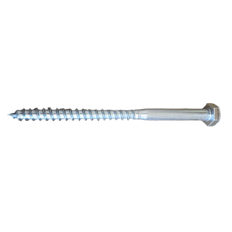 Coach Screw 150mm x 10mm